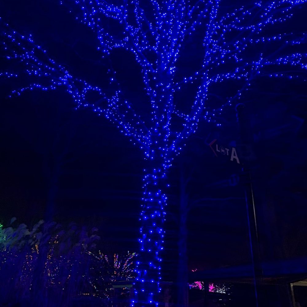 ZooLights - Zoos Near Me - Washington, DC, District of Columbia