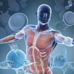 Hemwall Center for Orthopedic Regenerative Medicine - Proloman