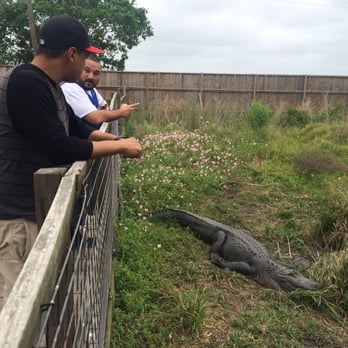 Crocodile Encounter - Zoos Near Me - Angleton, Texas
