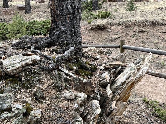 Florissant Fossil Beds National Monument by null