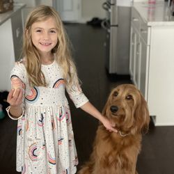 The Hound's Meow - Pup treats