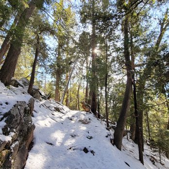 Ernie Maxwell Scenic Trail - Hiking Near Me