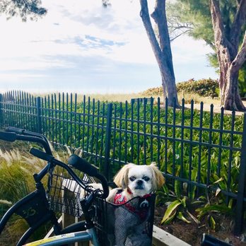 Fun and More Rentals - Bike Rentals Near Me - Holmes Beach, Florida Fun and More Rentals - Bike Rentals Near Me - Holmes Beach, Florida
