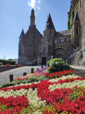 Cochem Castle by null
