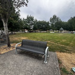 Wedge Park - Big open field