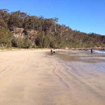 Long Beach - Beautiful beach with tons of wild kangaroos - Beaches Near Me