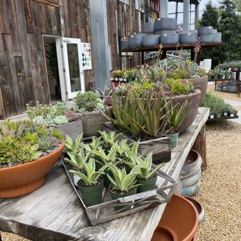 Flora Grubb Gardens - Flora Grubb Gardens - Nurseries & Gardening Near Me - San Francisco, California