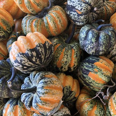 State Farmers Market by null