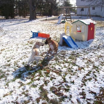 My-T-Fine Kennels - Pet Sitting Near Me - Delaware, Ohio My-T-Fine Kennels - Pet Sitting Near Me - Delaware, Ohio