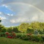 Photo of Joshua Pavlacky Landscape Design