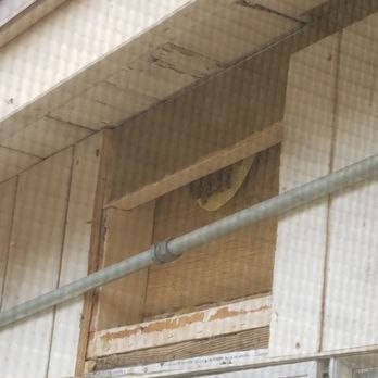Bee Doctor Bee Removal - Hive in the wall. My view from inside. - Pest Control Near Me