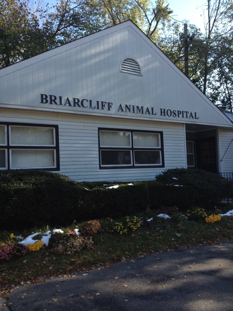 BRIARCLIFF ANIMAL HOSPITAL Updated August 2024 33 Old Rt 100