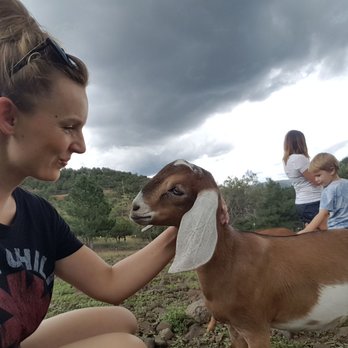 Cabins on Strawberry Hill - Goat farm nearby. - Vacation Rentals Near Me - Strawberry, Arizona