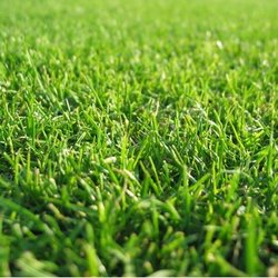 Timber Crest Landscaping and Lawn Care
