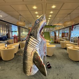 Shark dressed for Halloween Shark dressed for Halloween