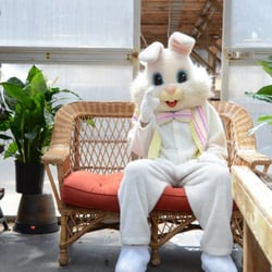 Blais Flowers & Garden Center - Save the Date: Saturday, April 4th 2015
Blais Flower & Garden Easter egg hunt!
9am - 2pm
Tons of fun & the Easter Bunny!