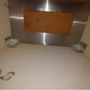 Photo of Master Mice Proofing