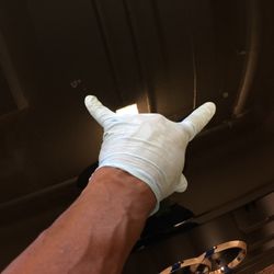 World Class Auto Detail - We repair paint stains before they damage the coat
