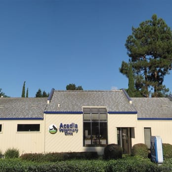 Acadia Veterinary Clinic - Veterinarians Near Me - Cupertino, California Acadia Veterinary Clinic - Veterinarians Near Me - Cupertino, California