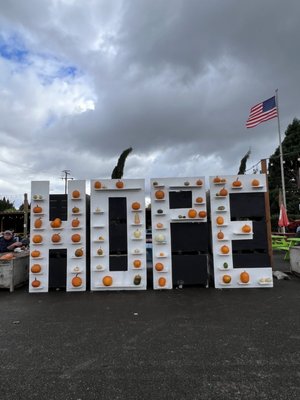 Bella Organic Farm by null