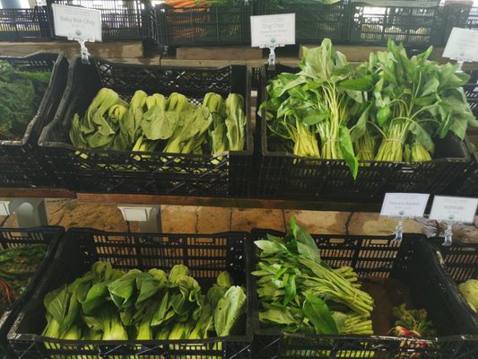 Sang Lee Farms by null