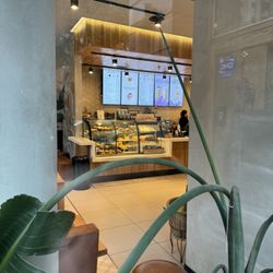 Starbucks - Front counter