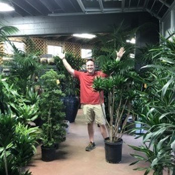 Tall Plants - Tall plants (inside section). - Nurseries & Gardening Near Me - Houston, Texas