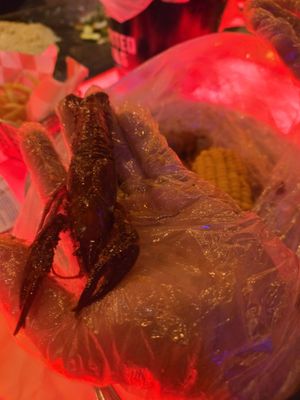 IKKO Hibachi Sushi Asian Bistro&Crab House by null