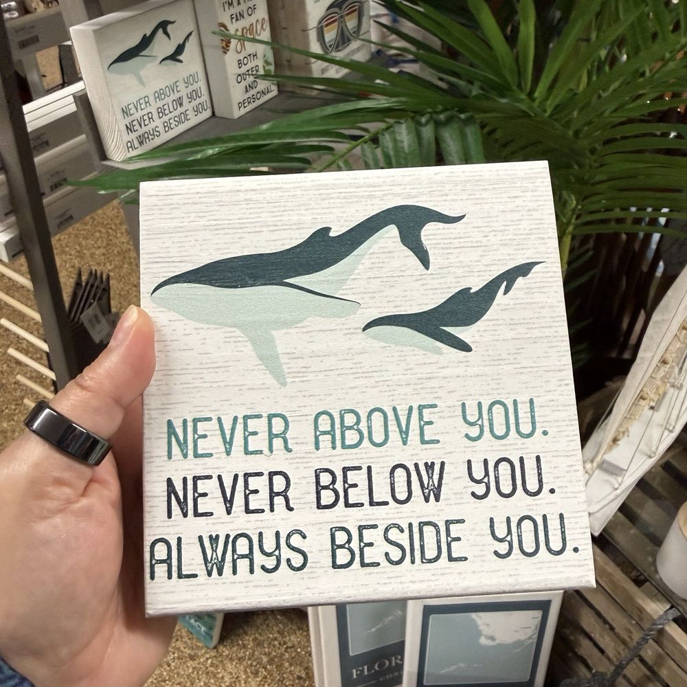 Shell World - Gift Shops Near Me - Key Largo, Florida