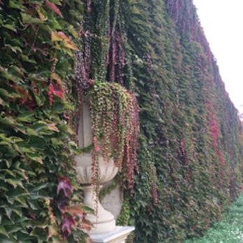 Jardin Public - Jardin public - Botanical Gardens Near Me - Bordeaux, 33 Jardin Public - Jardin public - Botanical Gardens Near Me - Bordeaux, 33