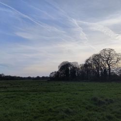 Croxteth Hall & Country Park