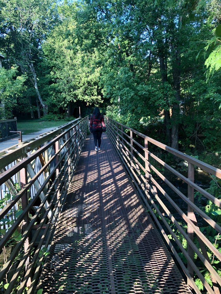 INGLIS FALLS CONSERVATION AREA Updated September 2024 37 Photos 318614, Grey Road 1, Owen