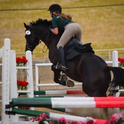 Skylark Equestrian - Jumper schooling show
