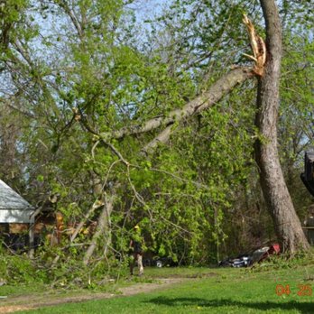Stoyko's Tree Service - Tree Services Near Me Stoyko's Tree Service - Tree Services Near Me