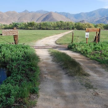Kern River Preserve - Take this short dirt road to the visitor's center beyond the trees - Hiking Near Me - Weldon, California Kern River Preserve - Take this short dirt road to the visitor's center beyond the trees - Hiking Near Me - Weldon, California