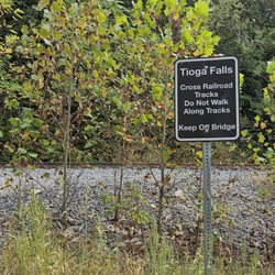 Tioga Falls Trail