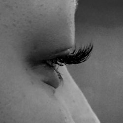 The Lash Studio