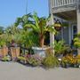 Photo of Berl Williams Landscaping & Nursery