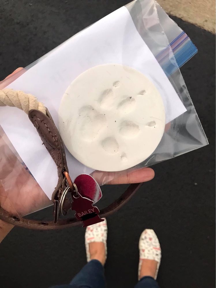 ANIMAL EMERGENCY CARE OF BRASELTON Updated October 2024 23 Photos