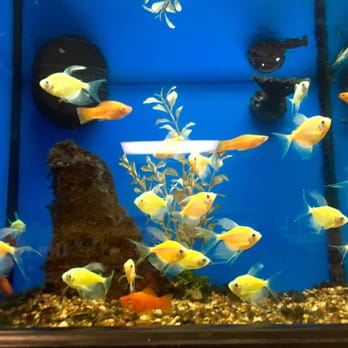 Petco - Pet Stores Near Me - Grapevine, Texas
