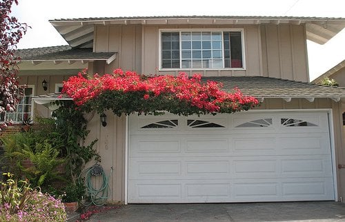 Garage Door Doctor Photo