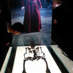 Muzeum Archeologiczne - Menschliches Skekett