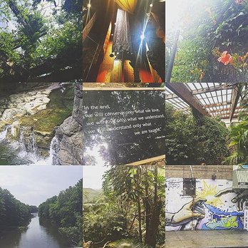 Bronx Zoo - The sights around the zoo are just as breathtaking as the animals! - Zoos Near Me - Bronx, New York