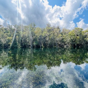 Silver Springs State Park - Unreal beauty - Tours Near Me - Silver Springs, Florida Silver Springs State Park - Unreal beauty - Tours Near Me - Silver Springs, Florida
