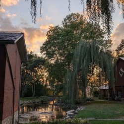 The Willow Tree