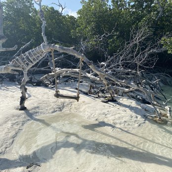 Life On the Rocks Charters - Tree swing - Snorkeling Near Me - Key West, Florida