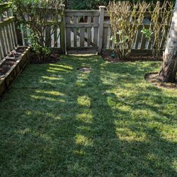 Mr. Lawn - Freshly sodded lawn