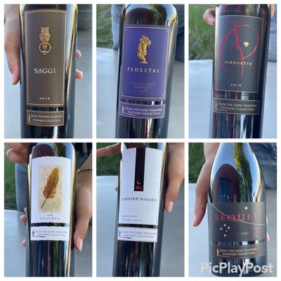 Long Shadows Winery by null