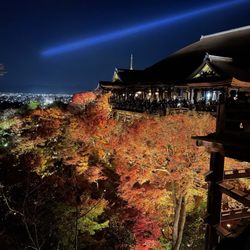Omakase Travels