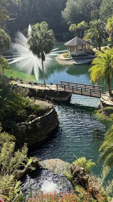 Cedar Lakes Woods and Gardens by null